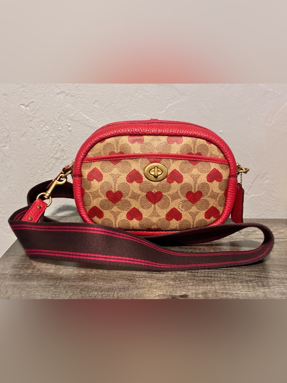 Coach Camera Signature Red Heart Print Crossbody Bag